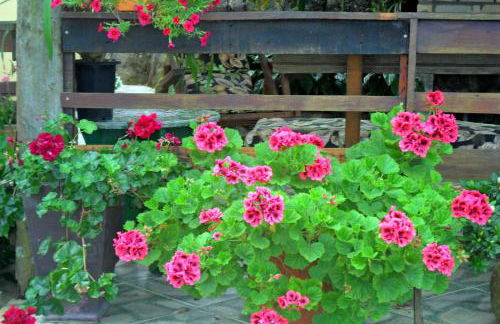 A Morada do Muriqui - Foto 30