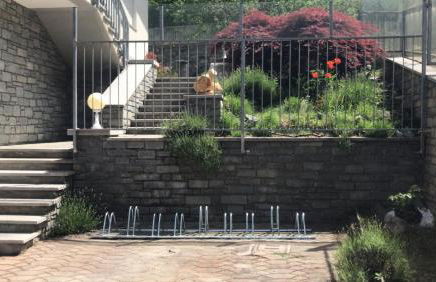 The Green Owl - Foto 54