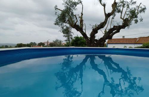 Casa das 3 Palmeiras - Foto 58