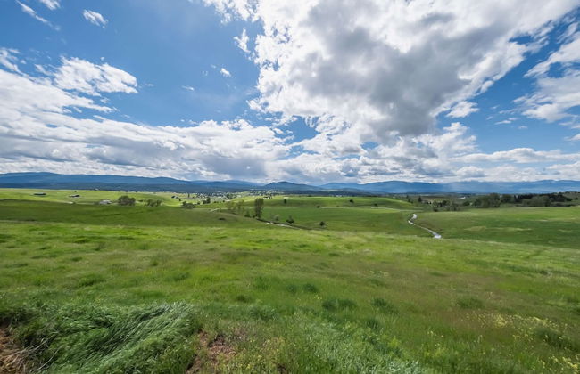 Saddlehorn Ridge Cabin - Photo 13