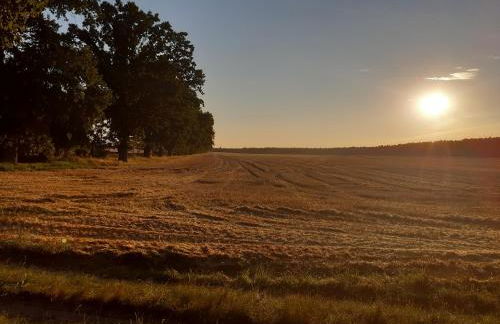 Bauernstübchen - Foto 11