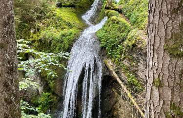 Chalet l'éléphant - Foto 43