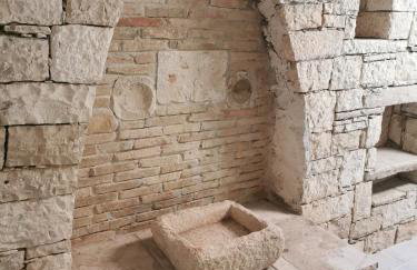 Nio's nest - Foto 14