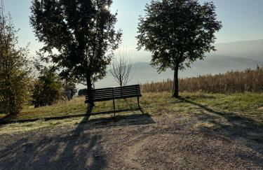 La corte dei celti -10 - Foto 35