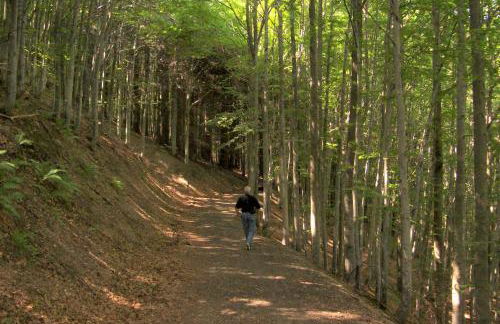 I Faggi Rossi - Foto 24