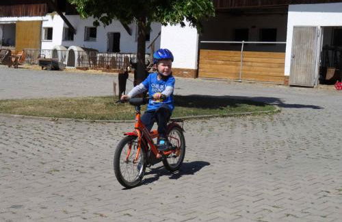 Bauernhof Nißl - Foto 25