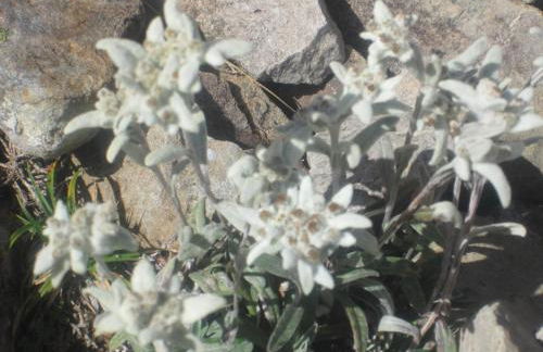 Casa Rural " El Retiro" - Photo 19