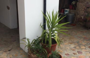 Pátio das Mós - Foto 19