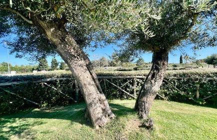 Ville d'Ogliastra 2 - Marina Suites - Foto 48