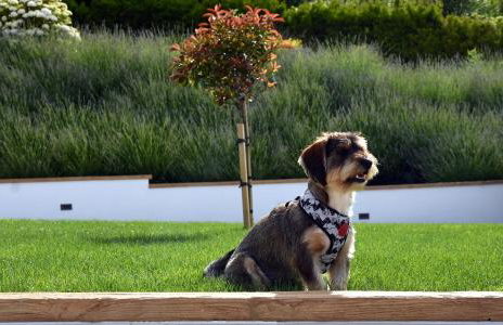 Countryside Home 39 by GREEN Croatia - Foto 7