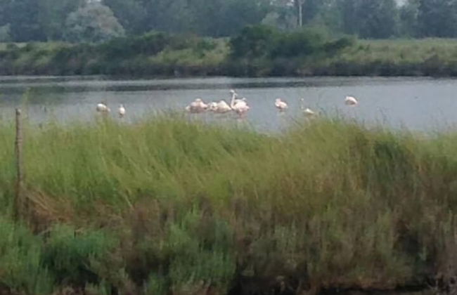 Agriturismo Quietovivere - Foto 22