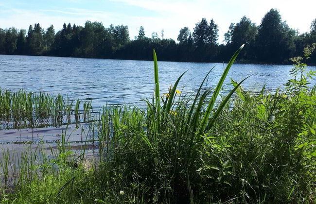 Apple Tree Cabin With River Views - Foto 39