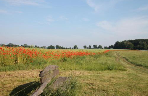 Das kleine, gemütliche Ferienhaus - Foto 25