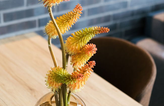 Downtown Apartments Berlin - Foto 39