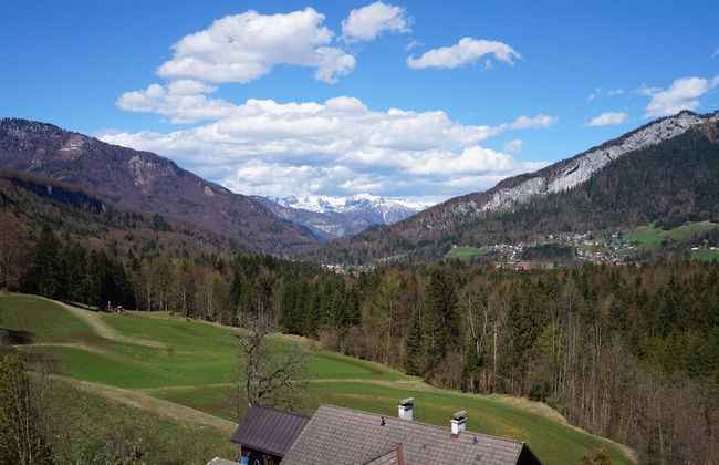 Apartments Helga - Foto 51