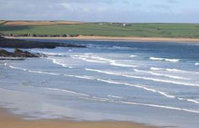 Trevose View - Foto 29