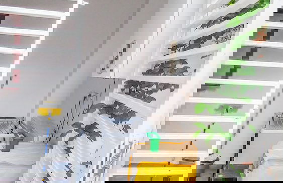 Secure & Trendy - Foto 20