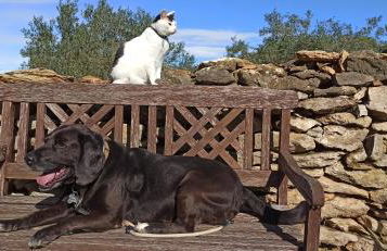 Can Costals Cerezo - Foto 36