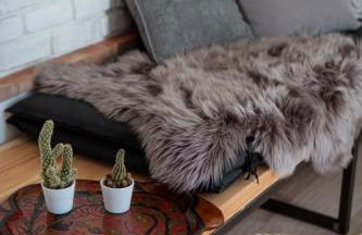 Little Suite - Foto 4