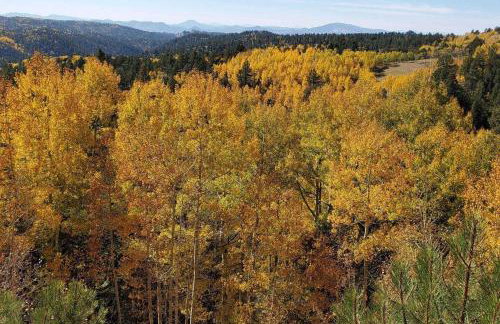 Aspen Grove Lodge - Photo 27