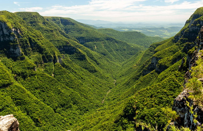 Excursion aux canyons de Fortaleza et d'Itaimbezinho - Photo 1