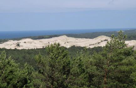 Apartamenty Pod Jesionem - Foto 26