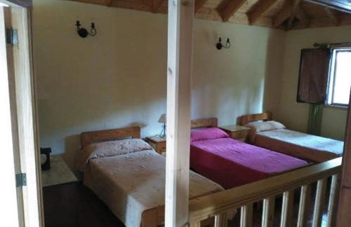 Floral garden house - Foto 21