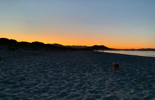 Pineta Beach & Relax House - Foto 19