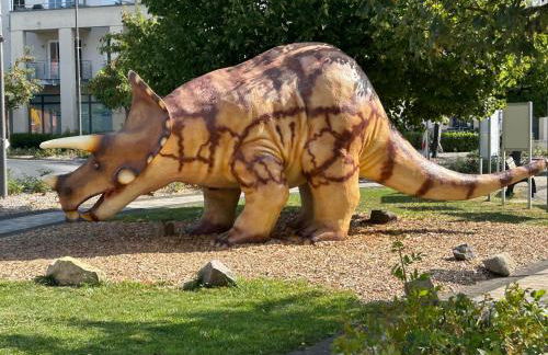 Ferienwohnung ehemaligen Schäferhof - Foto 30