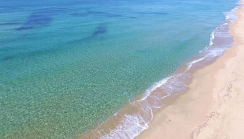 b Giagumeddu 09A Bilo - Foto 3, Other