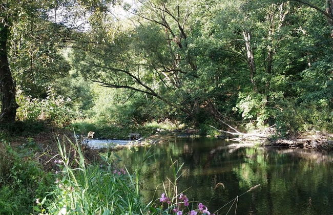 Holiday Apartment Haus Bodefurt - Apartment 2 - Foto 21