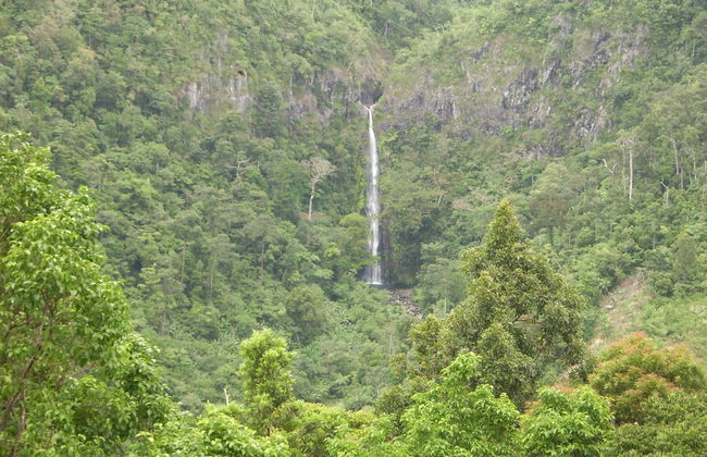 Private Day Trip to Salvador Benedicto - Photo 3