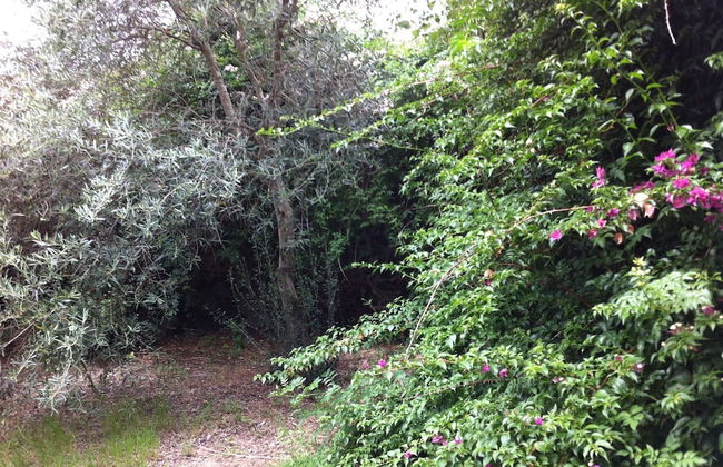 Agriturismo Il Giglio - Foto 78