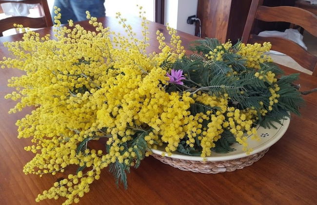 Trulli Parco Grande Con Piscina Privata - Foto 23