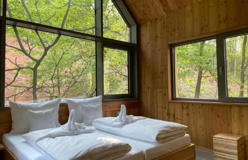 Baumwipfelhaus - Foto 16