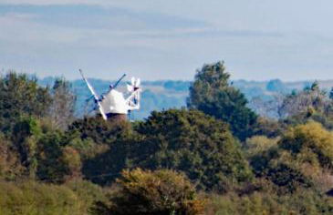 Barnham Court Farm - Photo 16