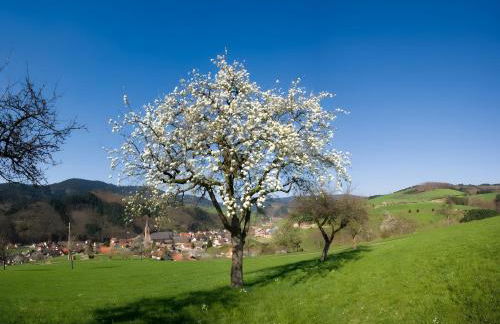 Ferienwohnung Schöner - Foto 31