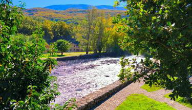 Los Naranjos de Jerte - Foto 2