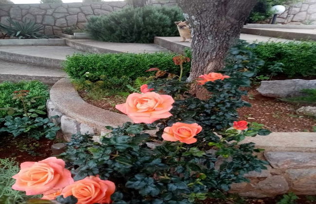 Apartments Paola - Foto 31