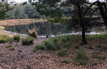 City-Apparte Exklusiv - direkt am Antonius-Hospital - Stilvoll wohnen im Herzen von Gronau - Foto 71