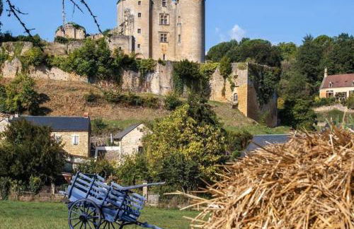 Petite maison en pierre au coeur du Périgord noir proche de Sarlat et Rocamadour - Foto 65