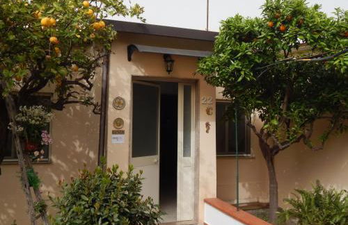 Nel giardino di Nunziatina - Photo 30