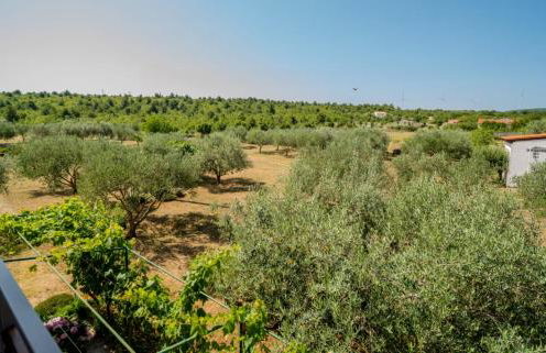 Apartman Lancun - Foto 30