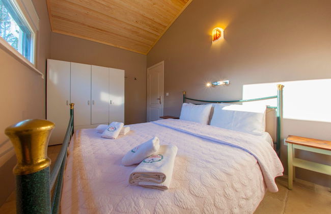 Villa Kirkpinar Sapanca - Foto 67