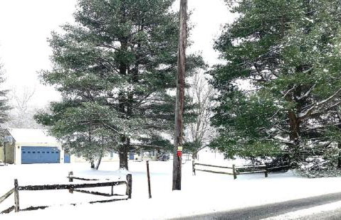 Black Bear Lodge @ Middle Creek - Foto 46