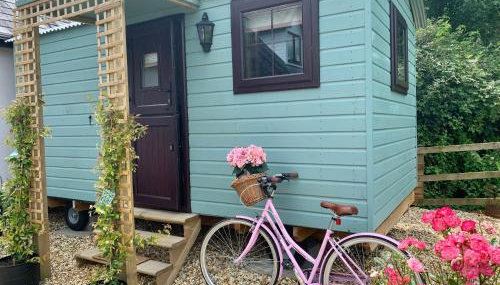 Little Bo Peep - Foto 3