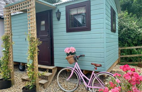 Little Bo Peep - Foto 3