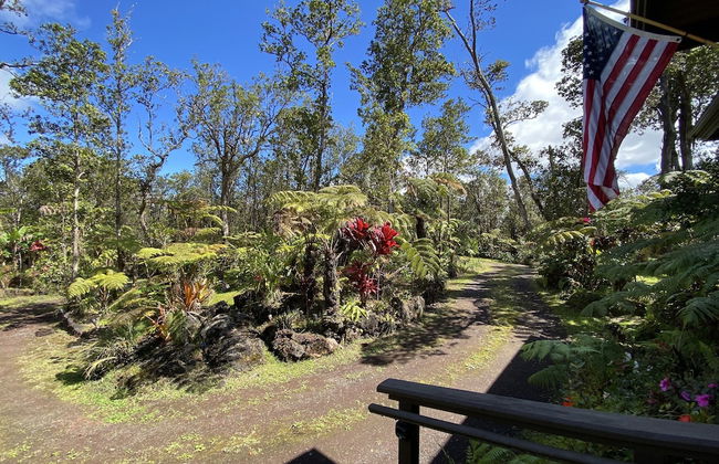 Volcano Rainforest Lodge - Foto 50