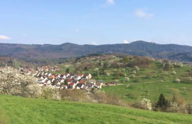 Ferienwohnungen Brack in Gaggenau - Foto 19