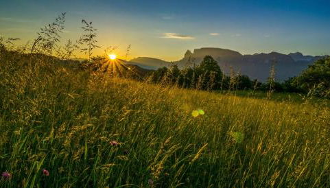 Appartments Neuhof - Foto 5